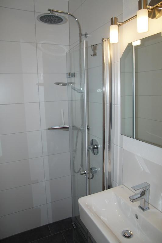 One-Bedroom Apartment image 2
