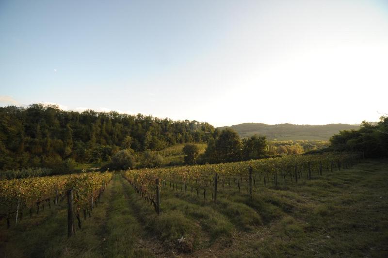 Junior Suite - Split Level image 2