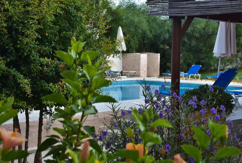Eleonora Αnissaras - image 45