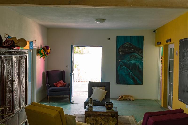 Peace Hostel MX - image 16