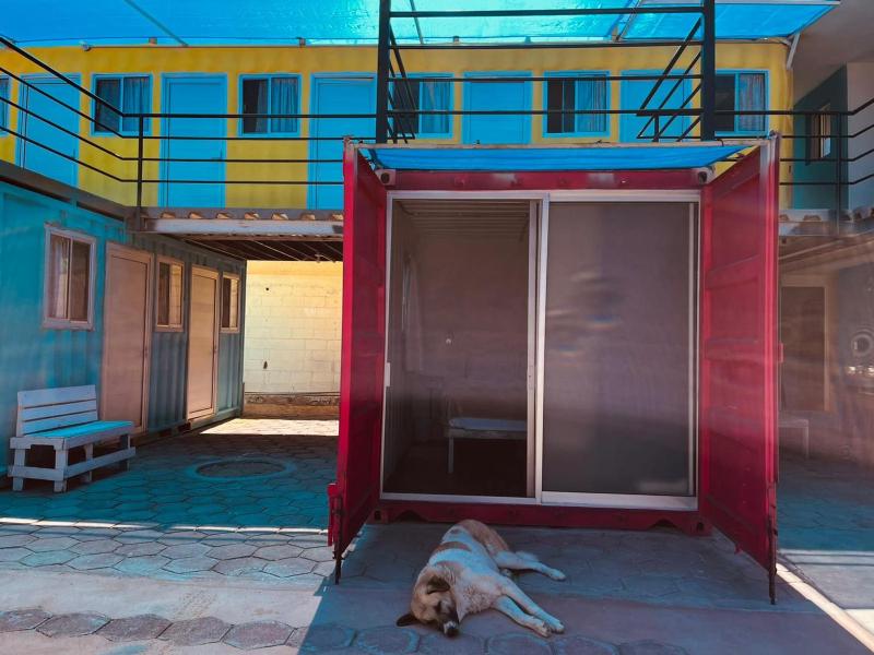 Peace Hostel MX - image 49