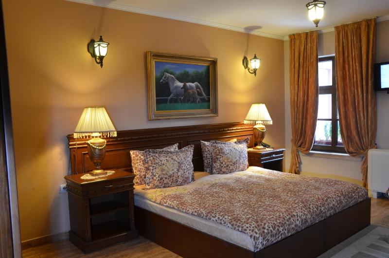 Double or Twin Room image 2