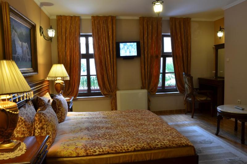 Double or Twin Room image 4