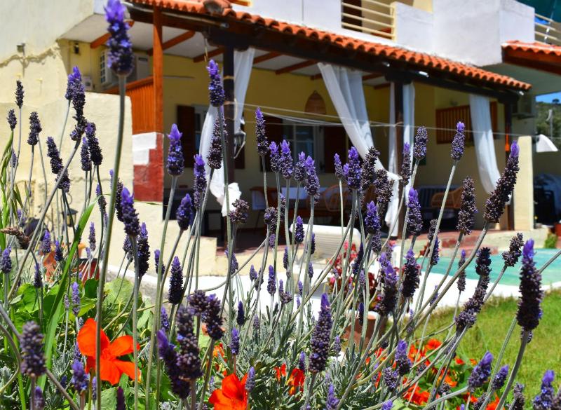 Villa Krini - image 11