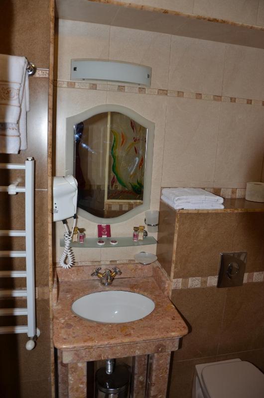 Double or Twin Room image 3