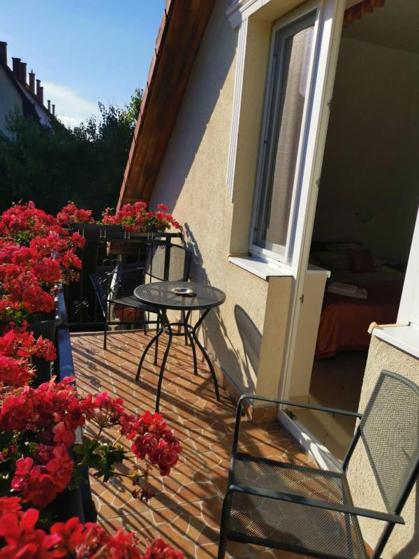 Apartment with Terrace image 3