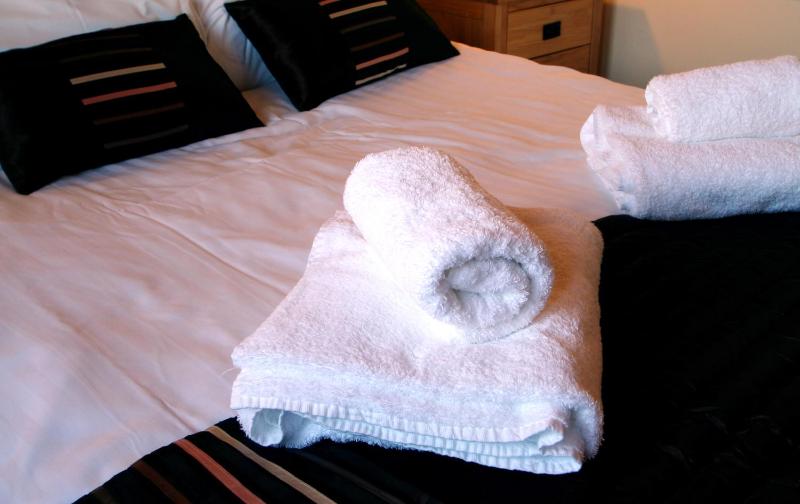 One-Bedroom Lodge image 3