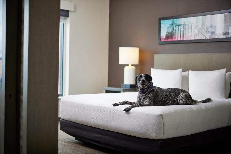 Hyatt House Denver/Downtown - image 30