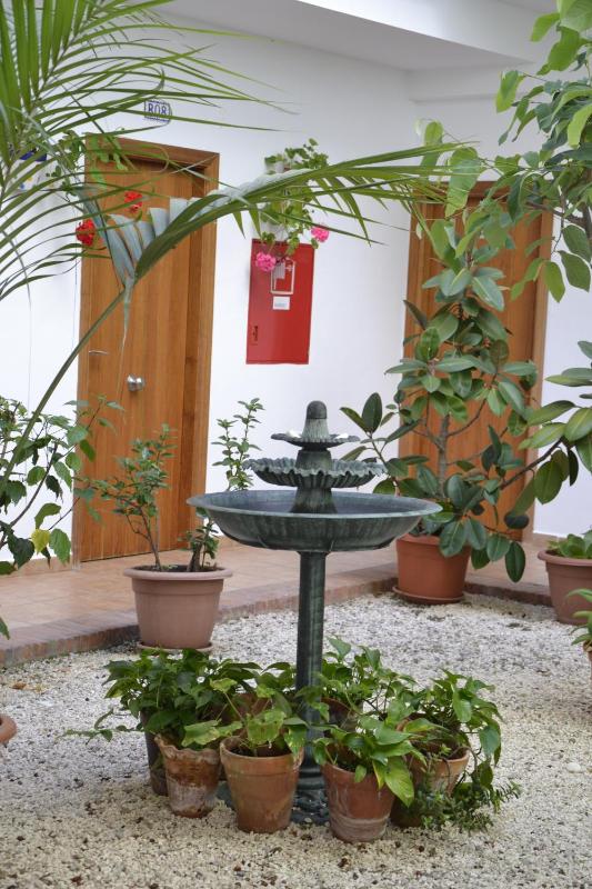 Hotel Oasis Atalaya - image 26