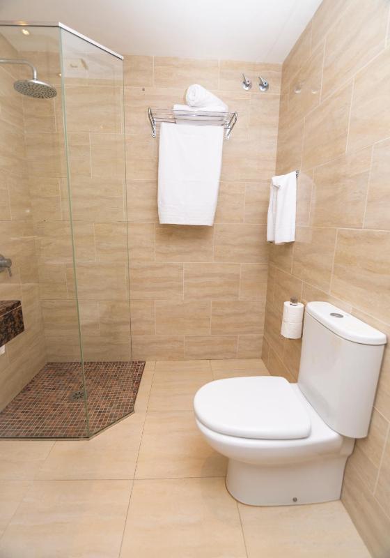 One-Bedroom Apartment image 2
