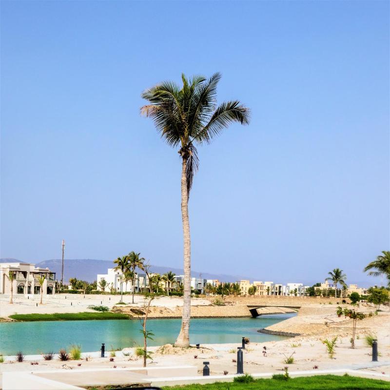 Dreams HAWANA Salalah - Forest Island - image 25