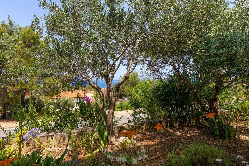 Apartments Matea Mali Lošinj - image 45
