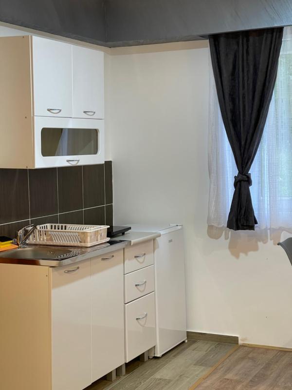 Deluxe Double Studio image 3