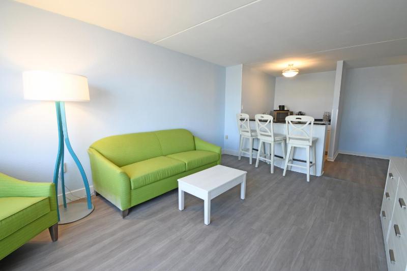 Deluxe King Suite - No Pets Allowed image 1