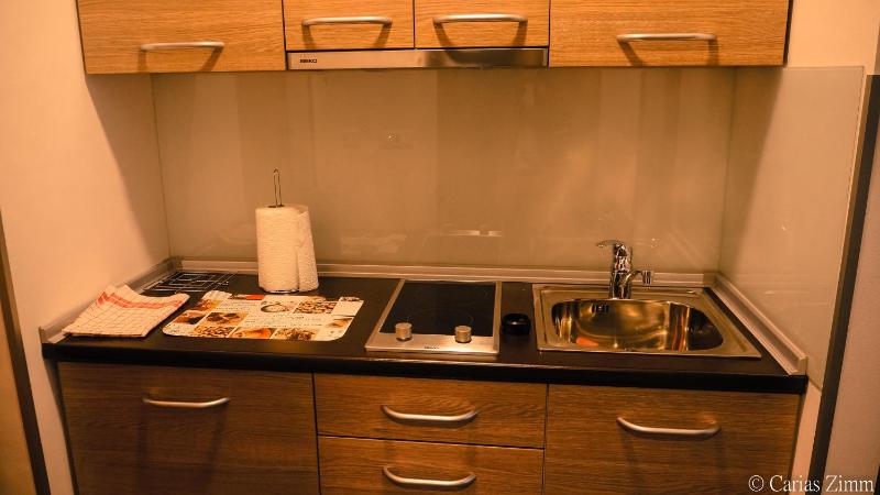 One-Bedroom Apartment image 4