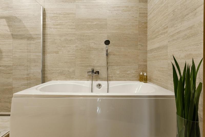 One-Bedroom Apartment image 2