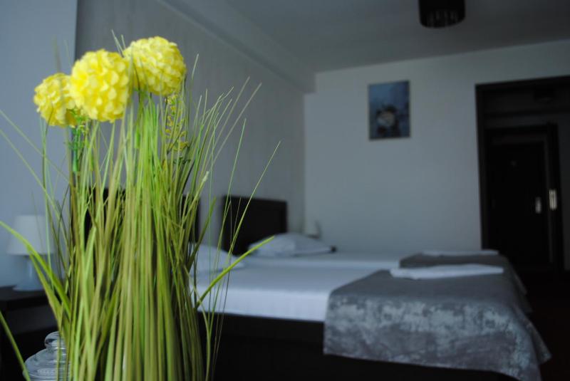 Twin Room image 4