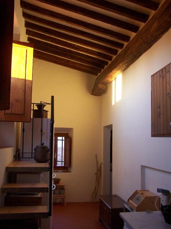 Acacia Firenze - Primula - image 8