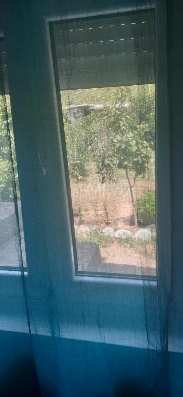 Double Room with Garden View image 3
