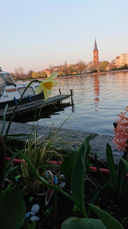 Apartment - Ground Floor image 3