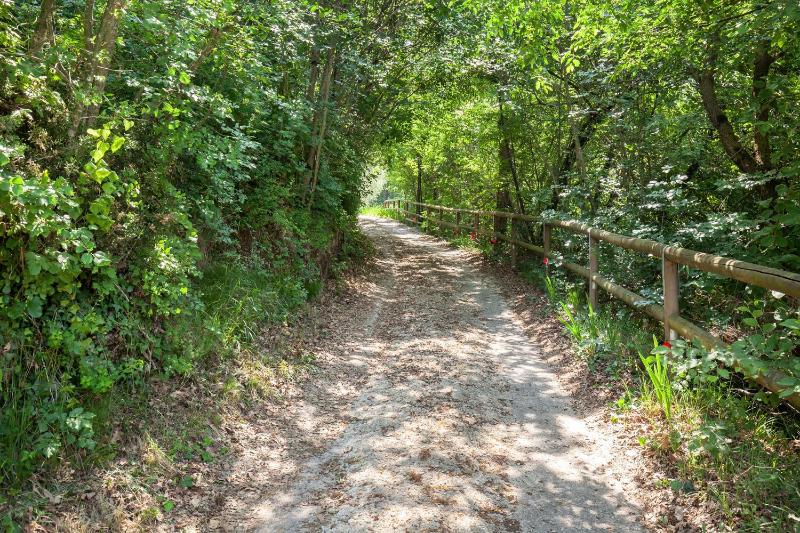 Casa del Bosco - image 22