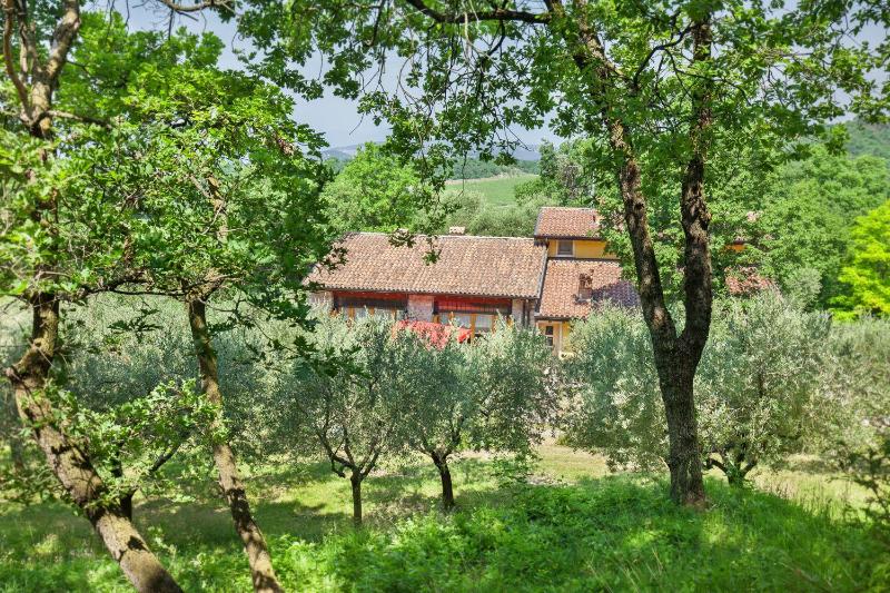 Casa del Bosco - image 15
