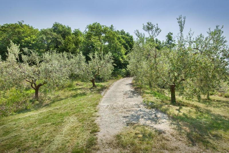 Casa del Bosco - image 30