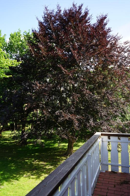 Two-Bedroom Suite image 1