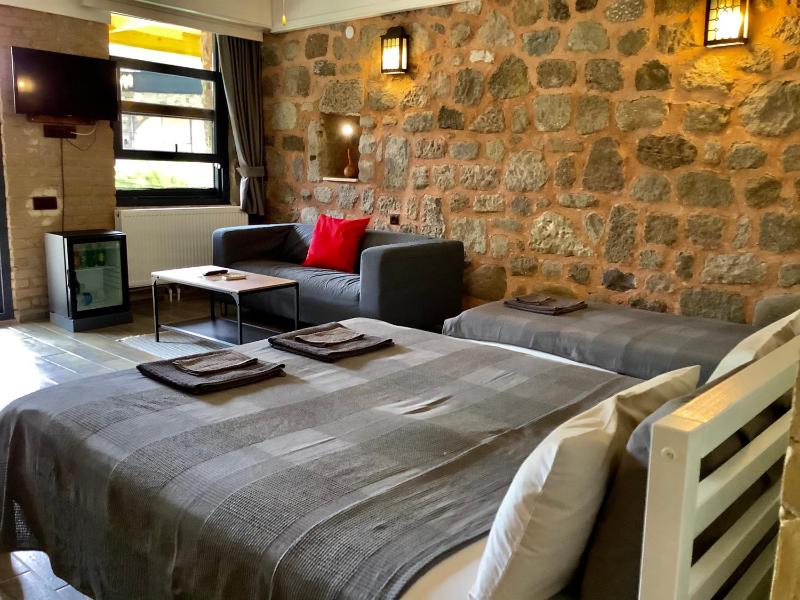 Deluxe Twin Room with Garden View and Patio image 1