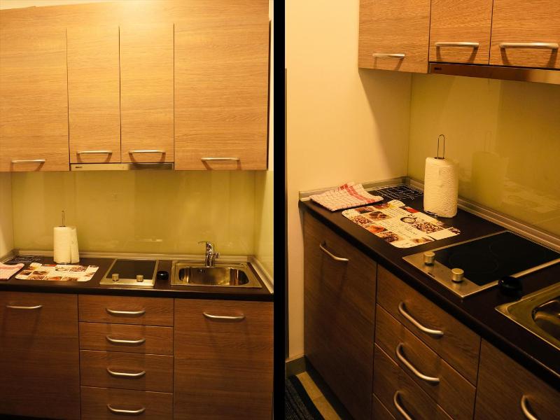 One-Bedroom Apartment image 2