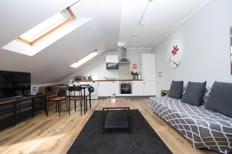 Deluxe Apartment image 3