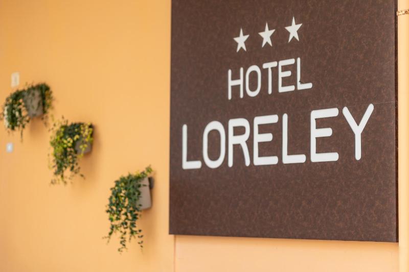 Hotel Loreley - image 16