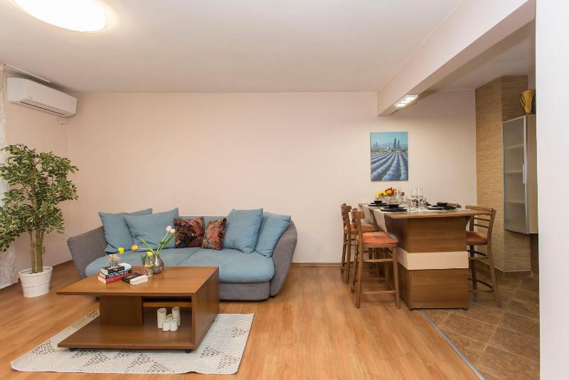 Superior One-Bedroom Apartment image 4