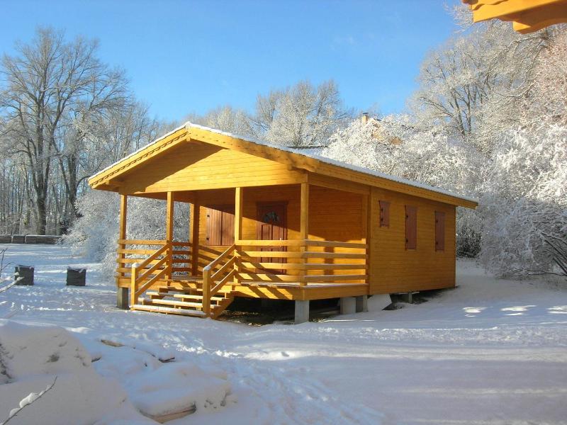 Chalet with Mountain View image 3