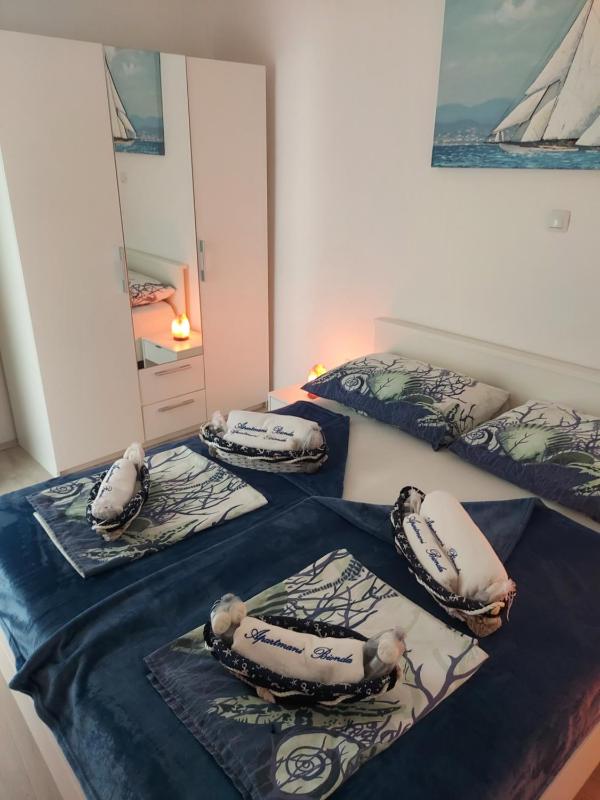 Apartmant Bionda Novi Vinodolski cozy and nice apartment for 4 people in the city center - image 25