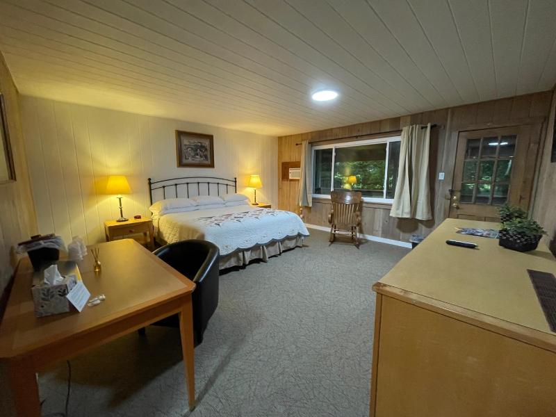 Deluxe King Room image 1