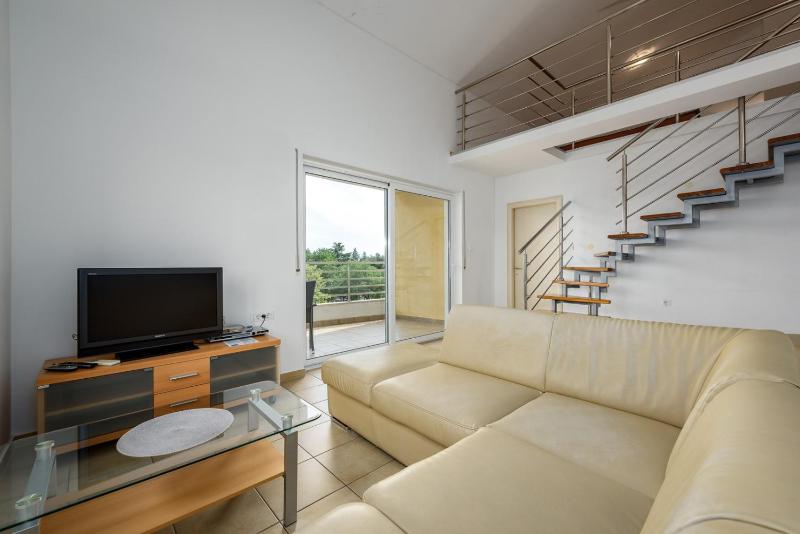 Apartment - Split Level image 1