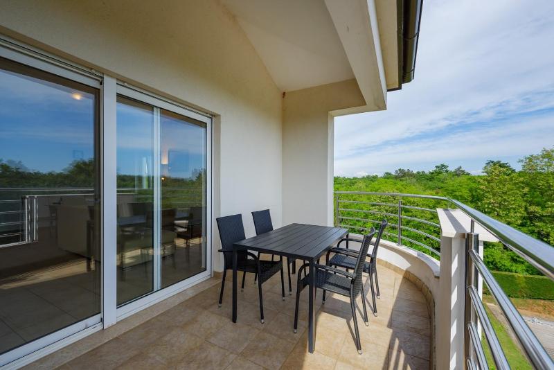 Apartment - Split Level image 2