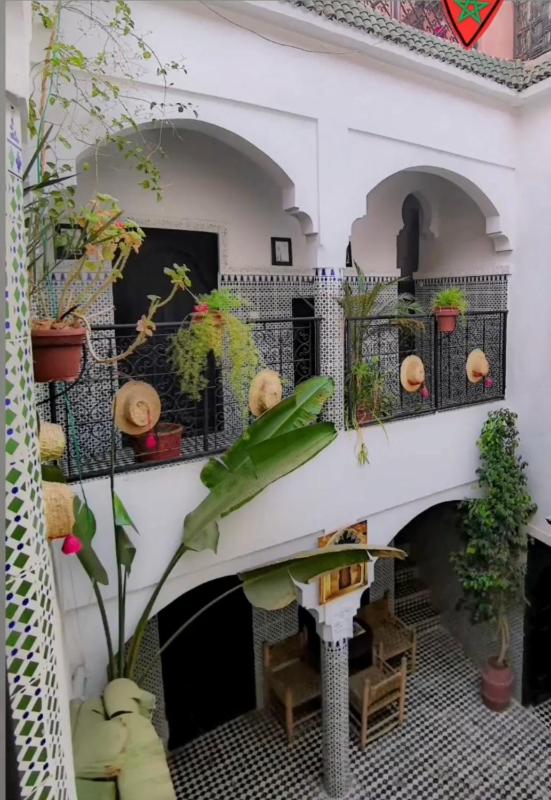 Riad Sijane - image 2