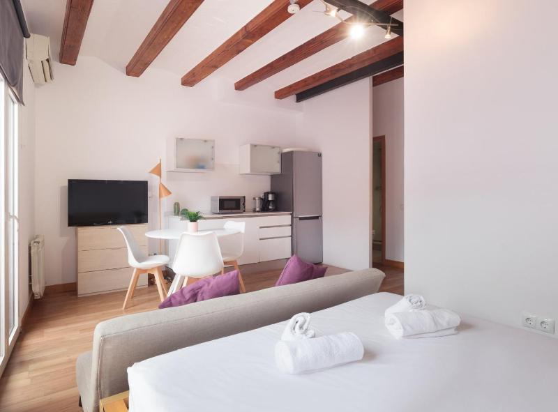 Spacious doubleroom apartment at Sants - image 16