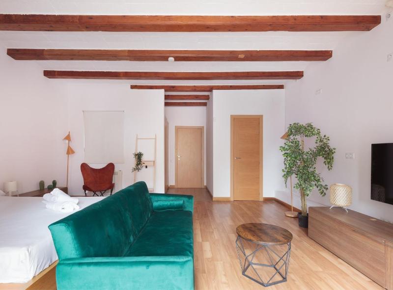 Spacious doubleroom apartment at Sants - image 9