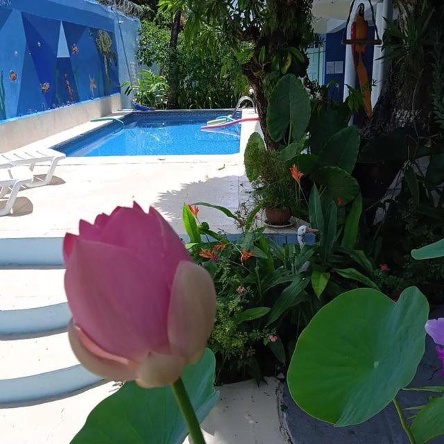 Porto Bahia Hotel - image 46