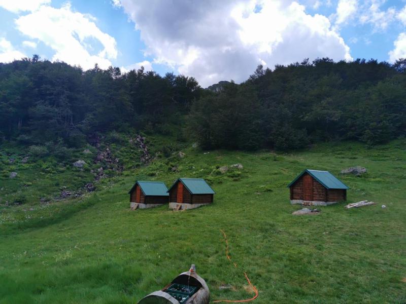 One-Bedroom House image 4