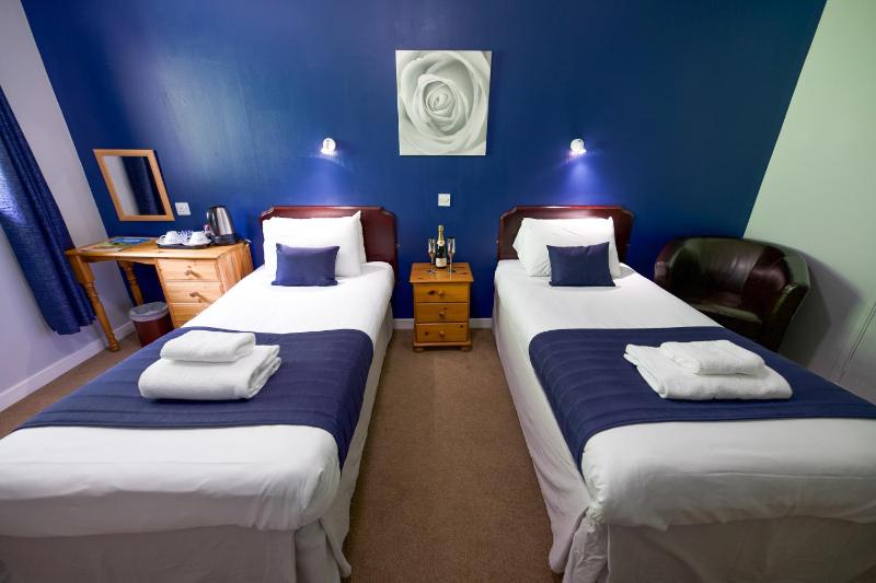 Budget Twin Room image 1