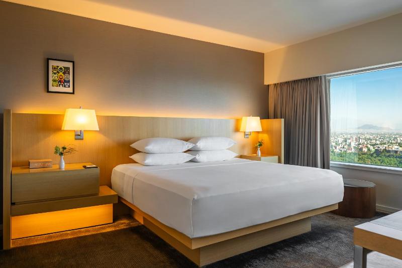 Hyatt Regency Mexico City - image 16