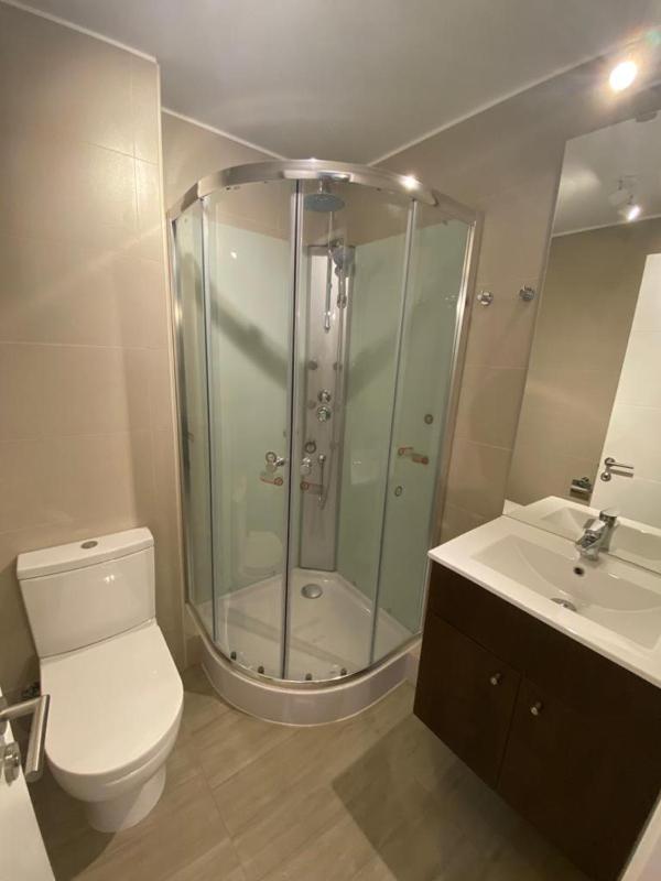 Departamento Pucon - image 4