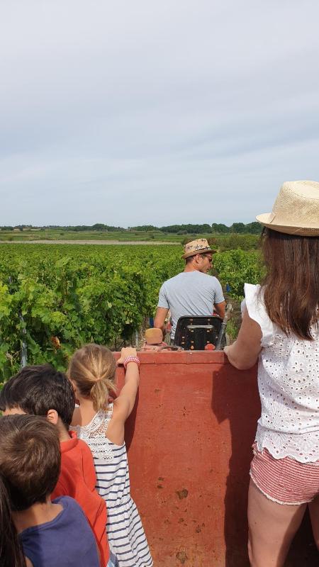 Domaine de l'Envolée - image 14