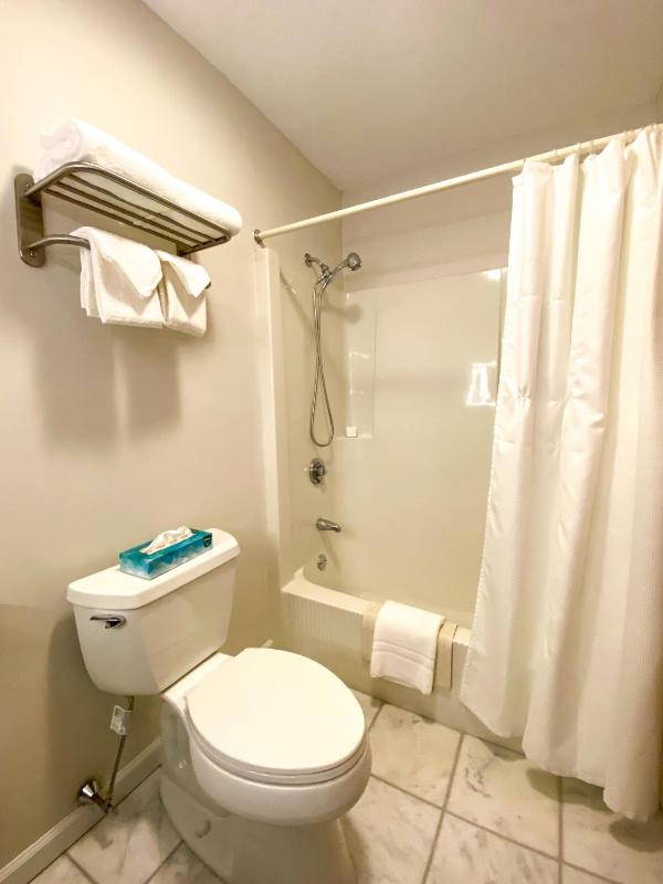 Superior King Suite image 4