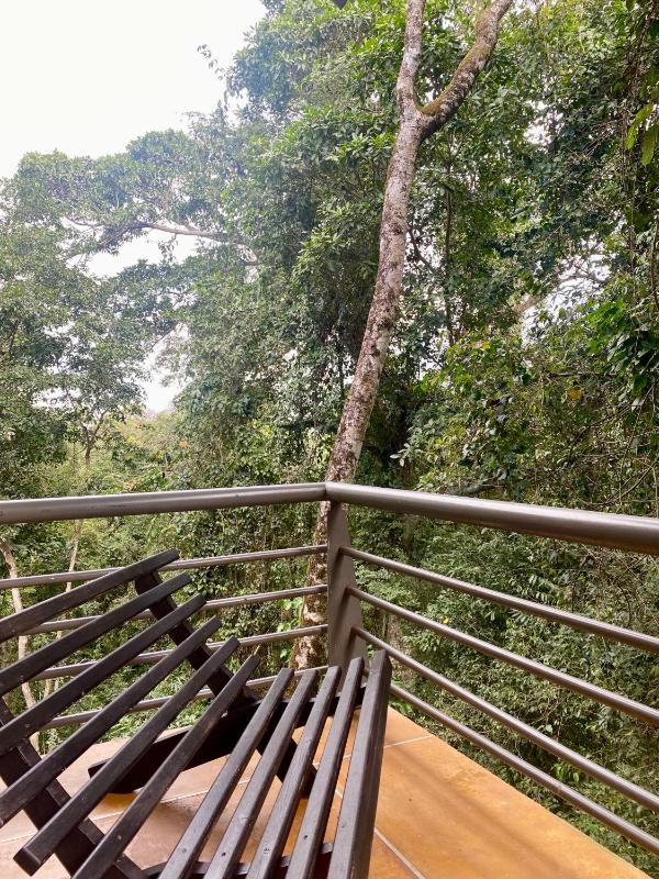 Rainforest Hotel & Cabañas - image 37