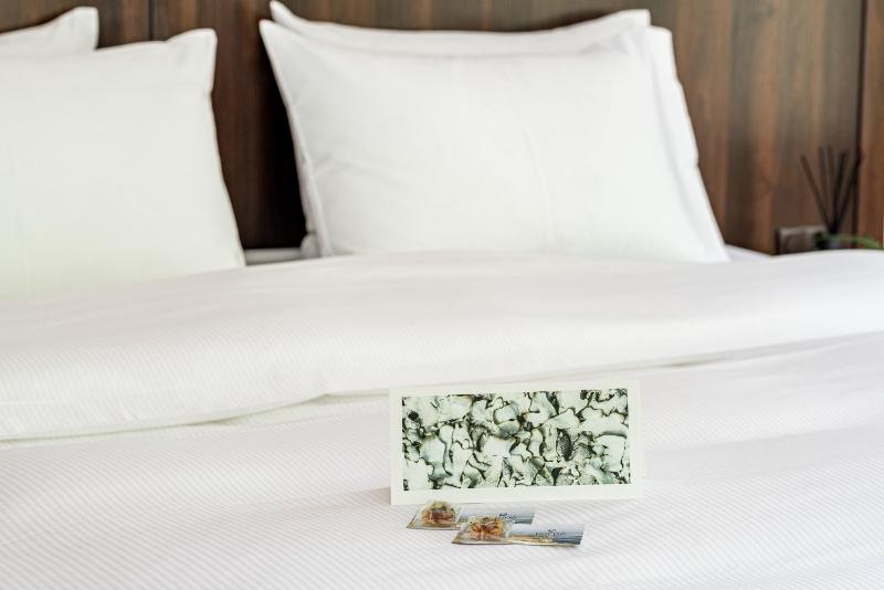 Standard Twin Room with Spa Access image 4